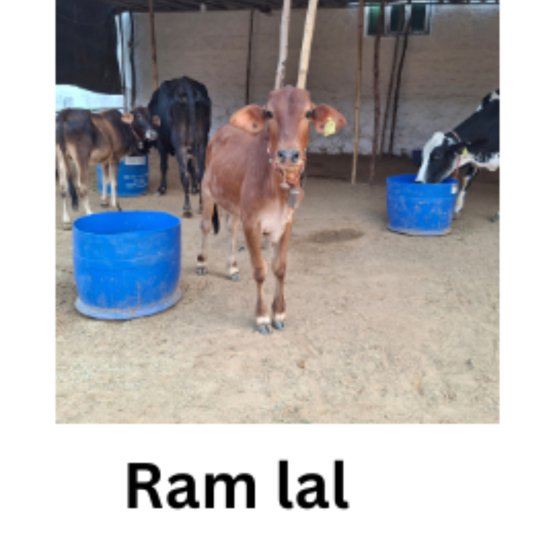 RAM LAL